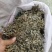 2023年青绿色，浓味清香，无枝干艾叶，大量批发，一手货