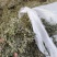 2023年青绿色，浓味清香，无枝干艾叶，大量批发，一手货