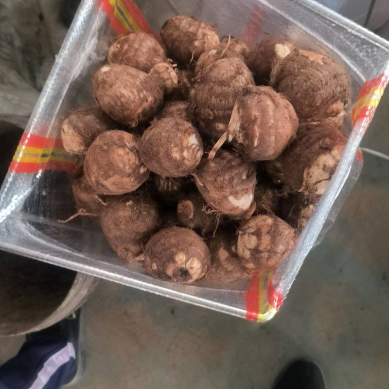 【芋头优质毛芋头8520】品质好，糯，承接电商社区。
