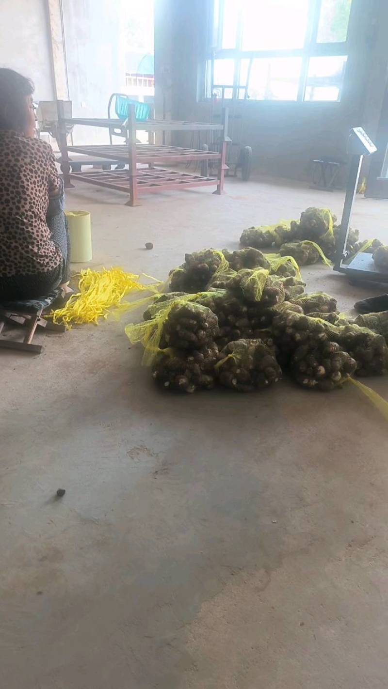 【芋头优质毛芋头8520】品质好，糯，承接电商社区。