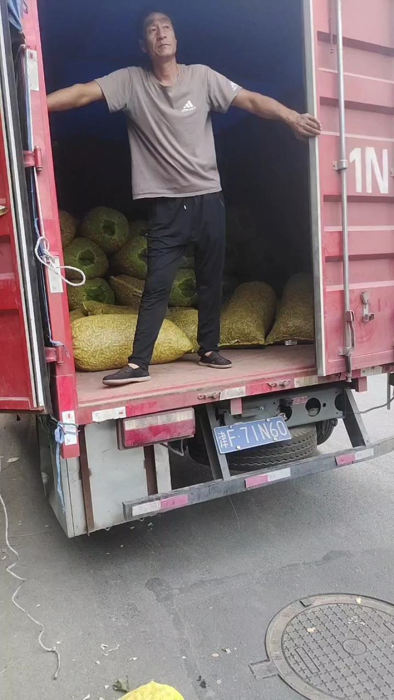 山东白沙系列花生现挖现发对接各大市场电商