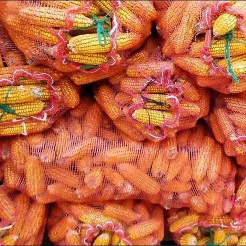 玉米网袋编织袋大蒜蔬菜洋葱地瓜土豆水果网袋尼龙加密加厚大