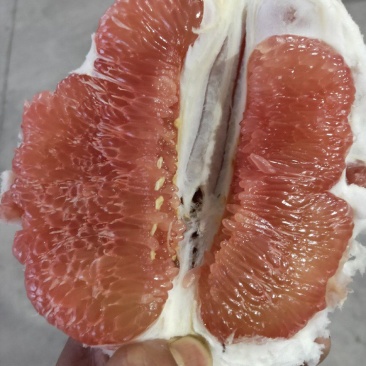 梅州密柚子己上市，三种品种白肉，单红，三红柚，需要的老板