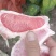 梅州密柚子己上市，三种品种白肉，单红，三红柚，需要的老板