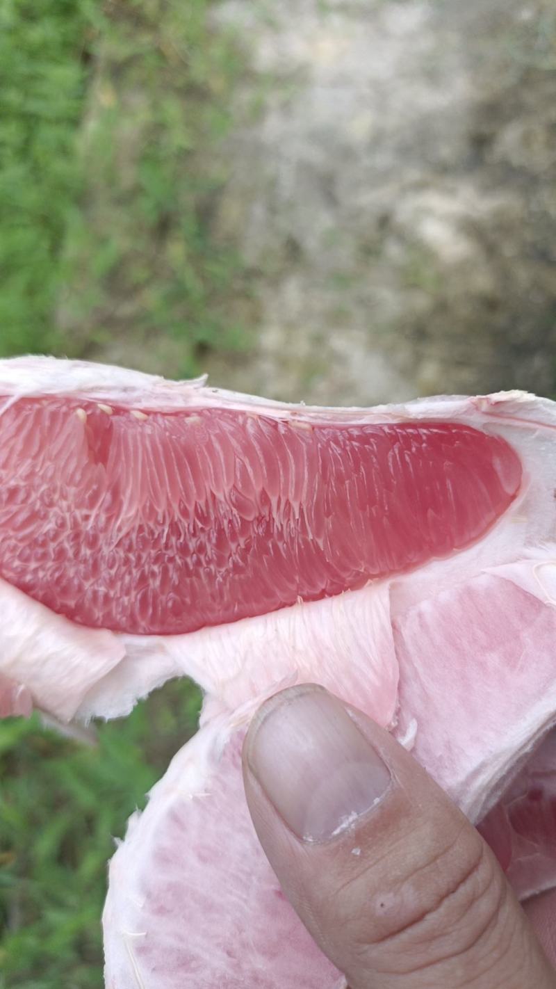 梅州密柚子己上市，三种品种白肉，单红，三红柚，需要的老板