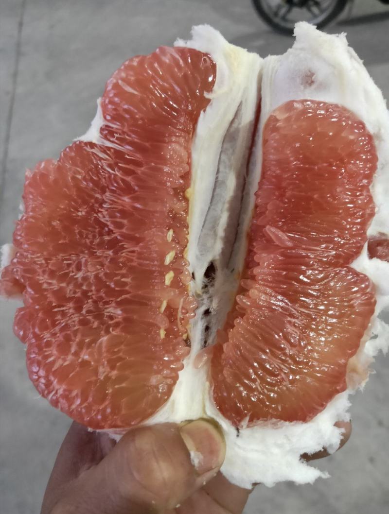 梅州密柚子己上市，三种品种白肉，单红，三红柚，需要的老板