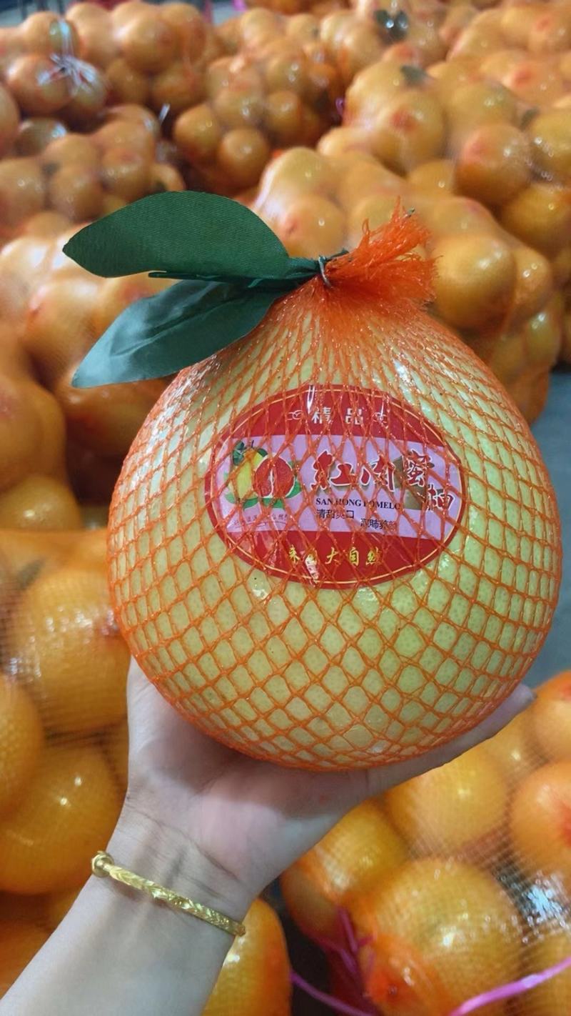 梅州密柚子己上市，三种品种白肉，单红，三红柚，需要的老板