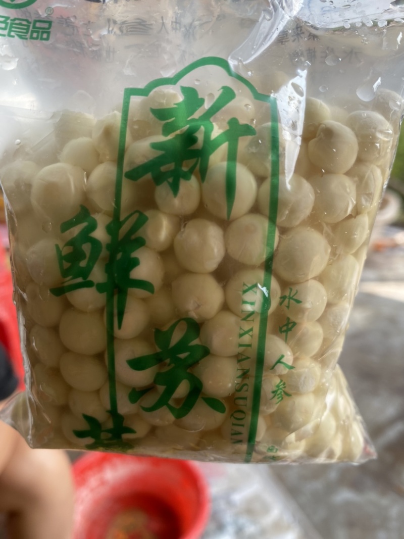 手工芡实嫩2023鲜货