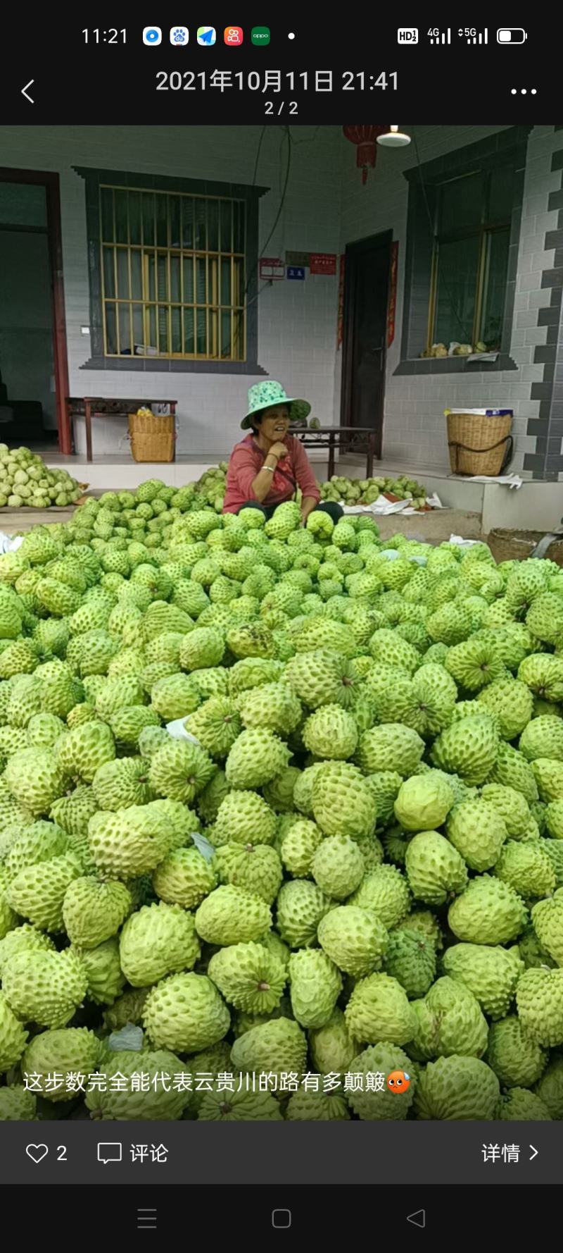 释迦果