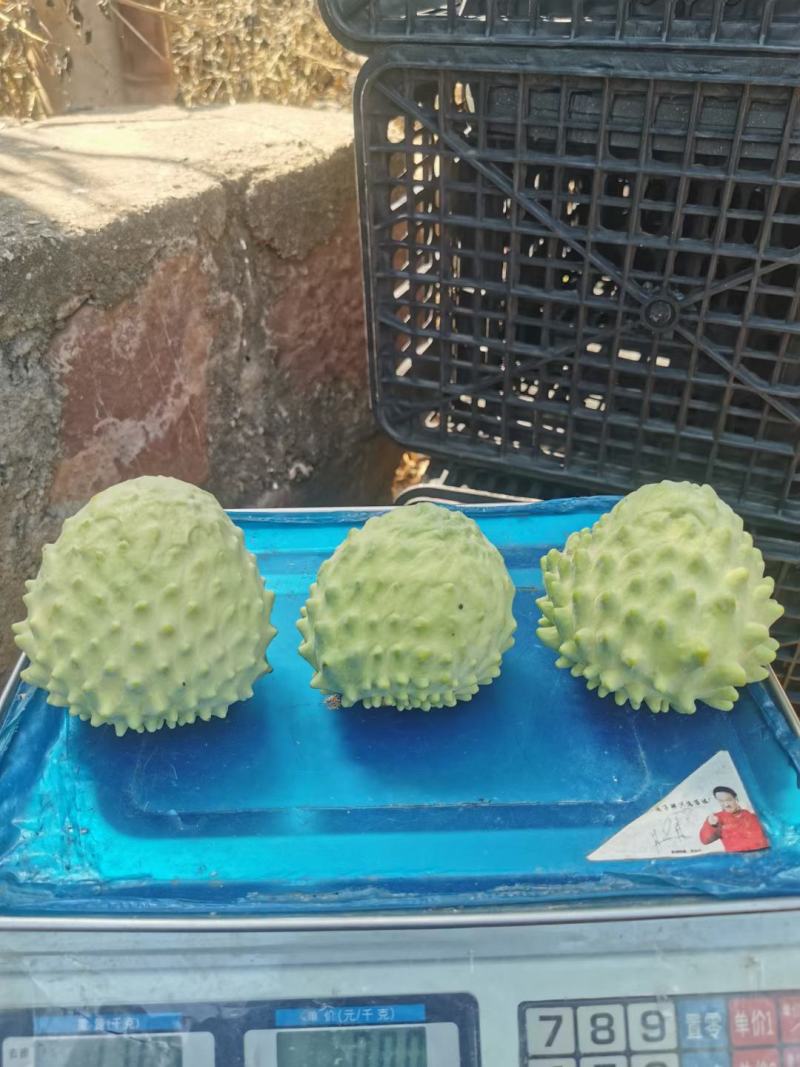 释迦果
