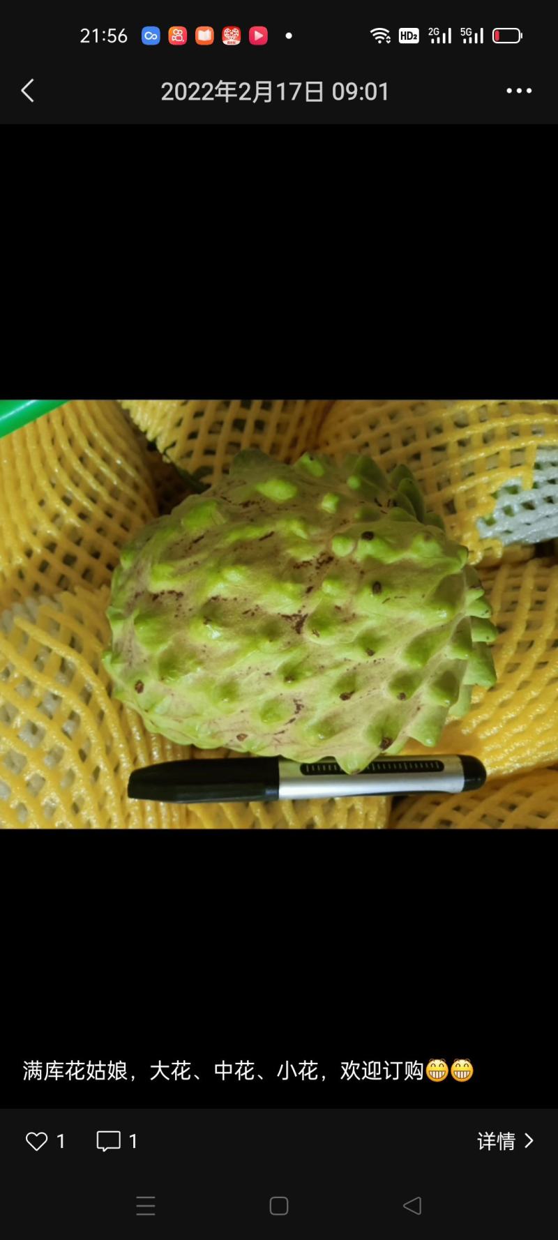 释迦果
