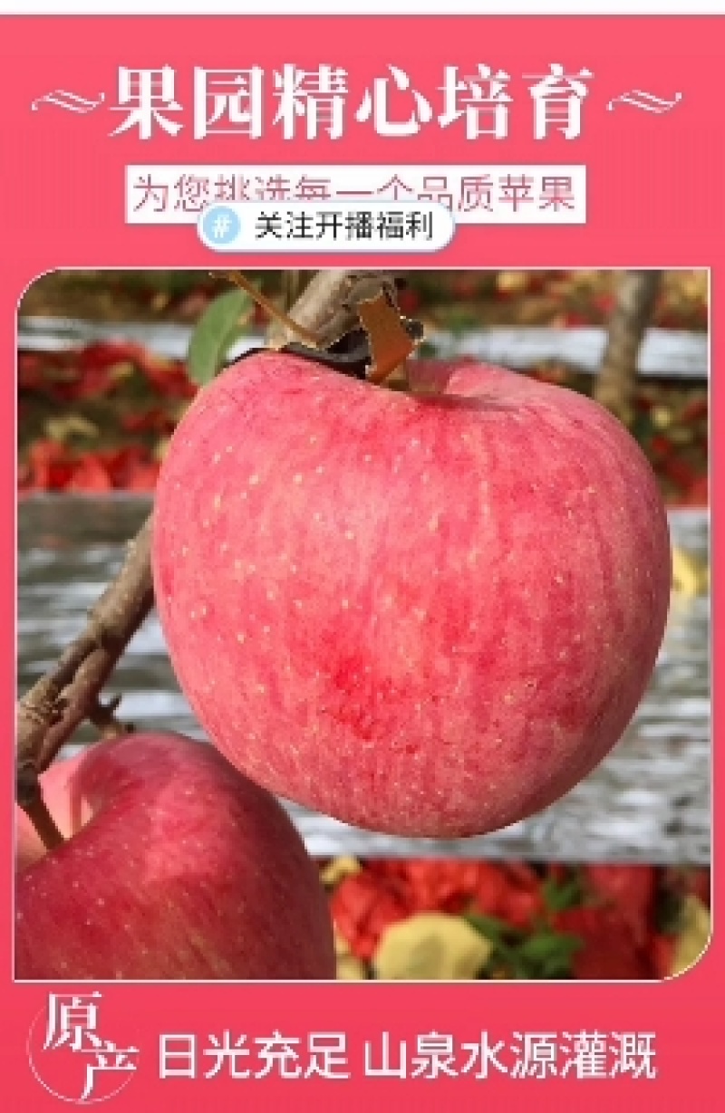 红富士苹果