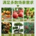 包邮田园艺剪刀果树修剪摘花椒神器采摘果蔬葡萄花枝花草剪子