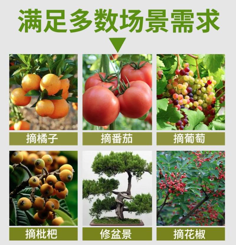 包邮田园艺剪刀果树修剪摘花椒神器采摘果蔬葡萄花枝花草剪子