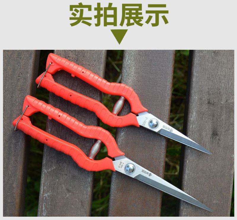 包邮田园艺剪刀果树修剪摘花椒神器采摘果蔬葡萄花枝花草剪子