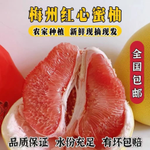 正宗梅州红心蜜柚红肉蜜柚一件