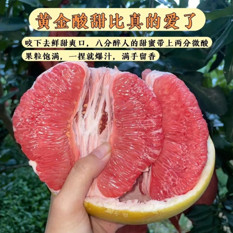 正宗梅州红心蜜柚红肉蜜柚一件代发