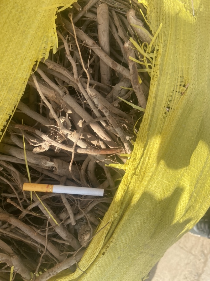 急售一车牡丹根现货