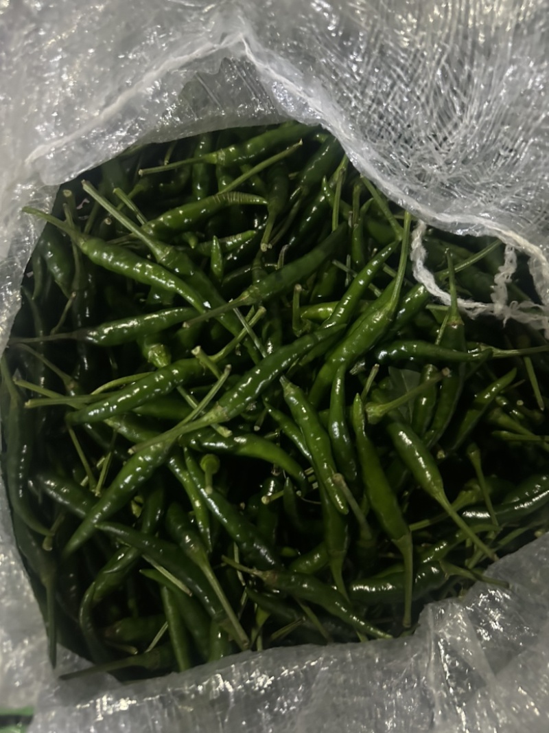 大量辣椒，玉米