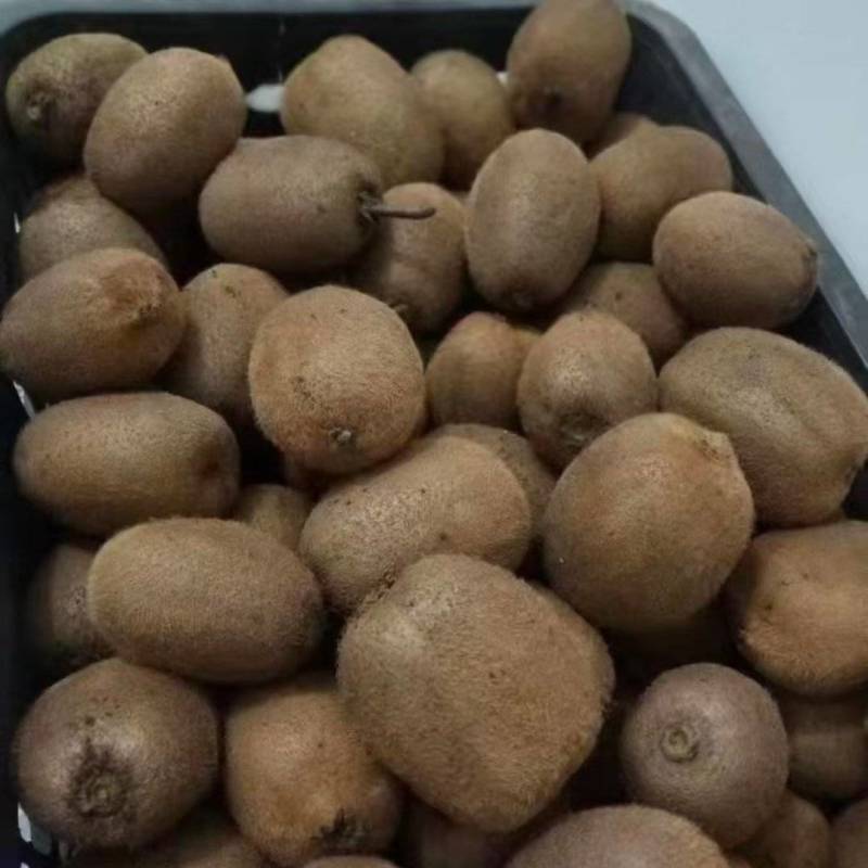 瑞玉弥猴桃