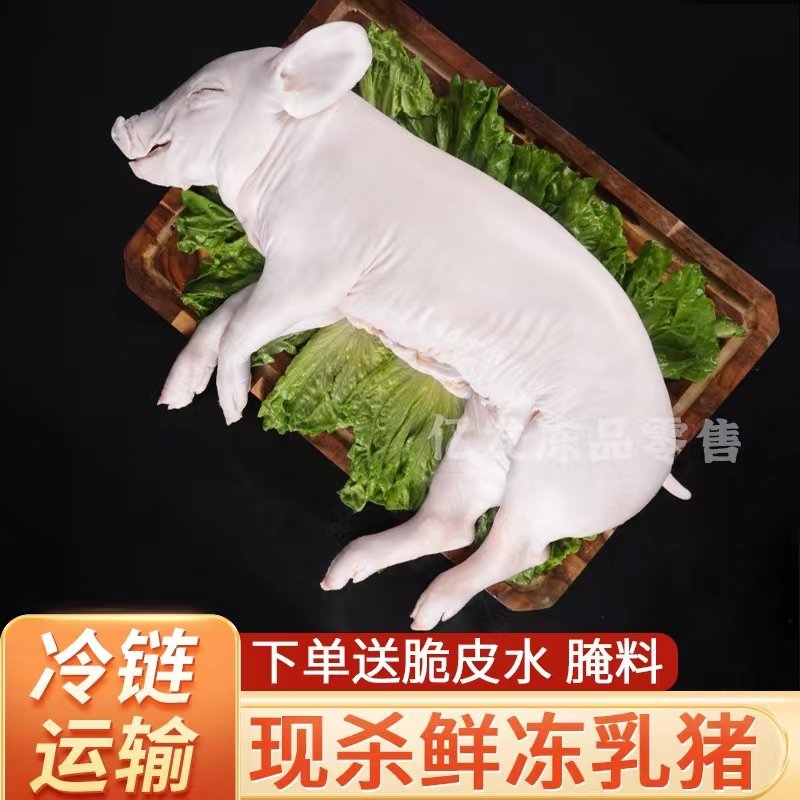 精品鲜冻乳猪脆皮乳猪厂家直发证件齐全一手货源来电咨询