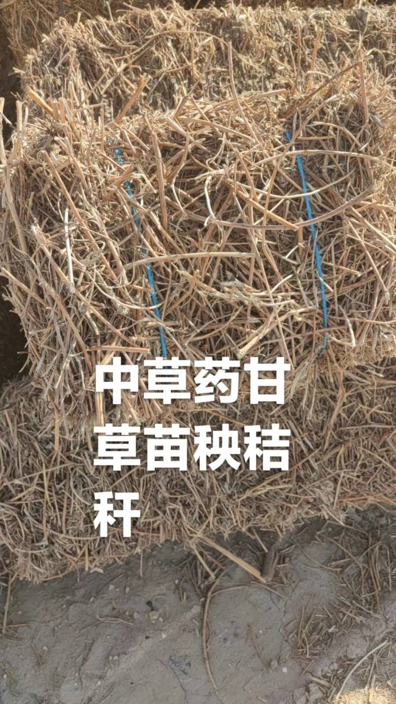 甘草秧子秸秆