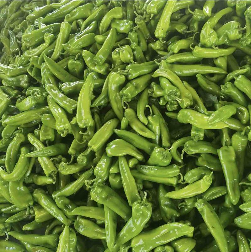黑龙江本地鲜辣椒大量供应产地直发货源充足欢迎实地考察电联