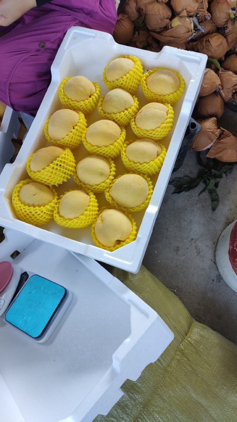 锦绣黄桃