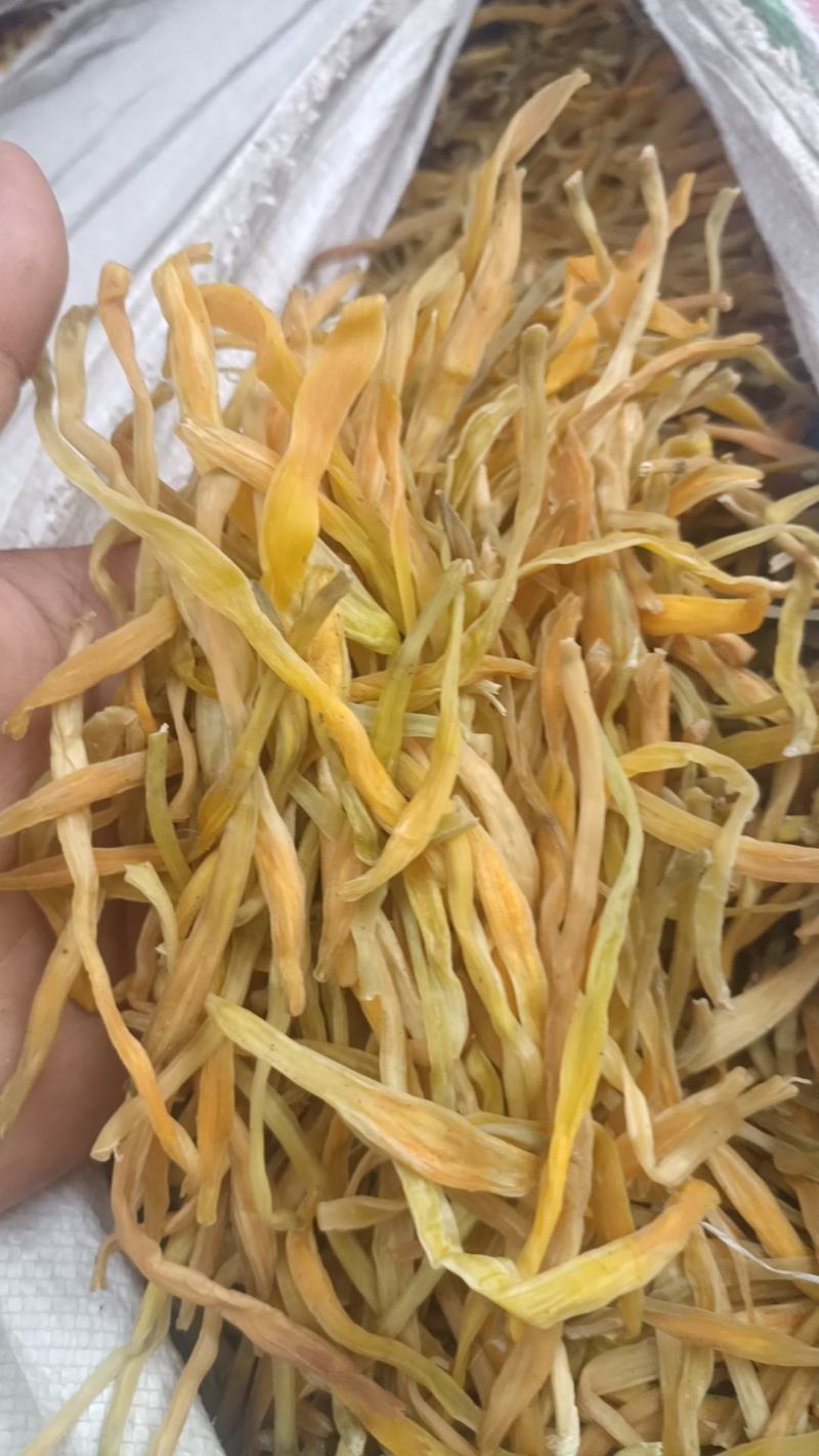 黄花菜精品保鲜菜95干早餐胡辣汤大放价（不包邮）