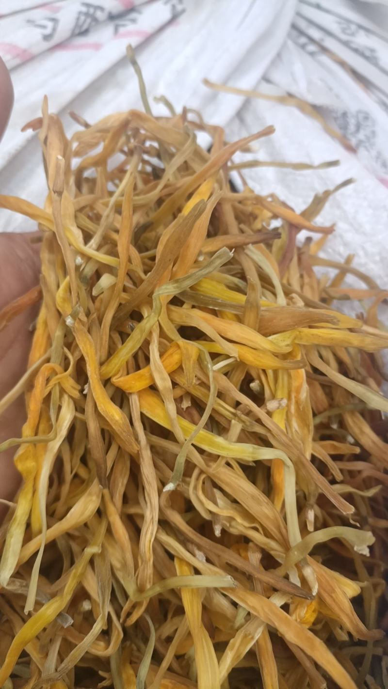 黄花菜精品保鲜菜95干早餐胡辣汤大放价（不包邮）