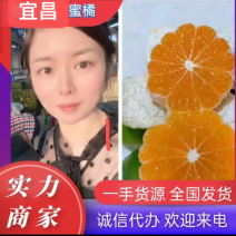 【蜜桔】云南蜜桔大量供应人工挑选果大皮薄欢迎咨询