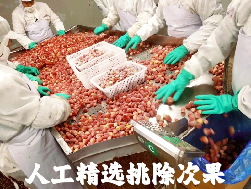 速冻草莓甜查理红颜草莓箱装10kg袋装茶饮工厂原料