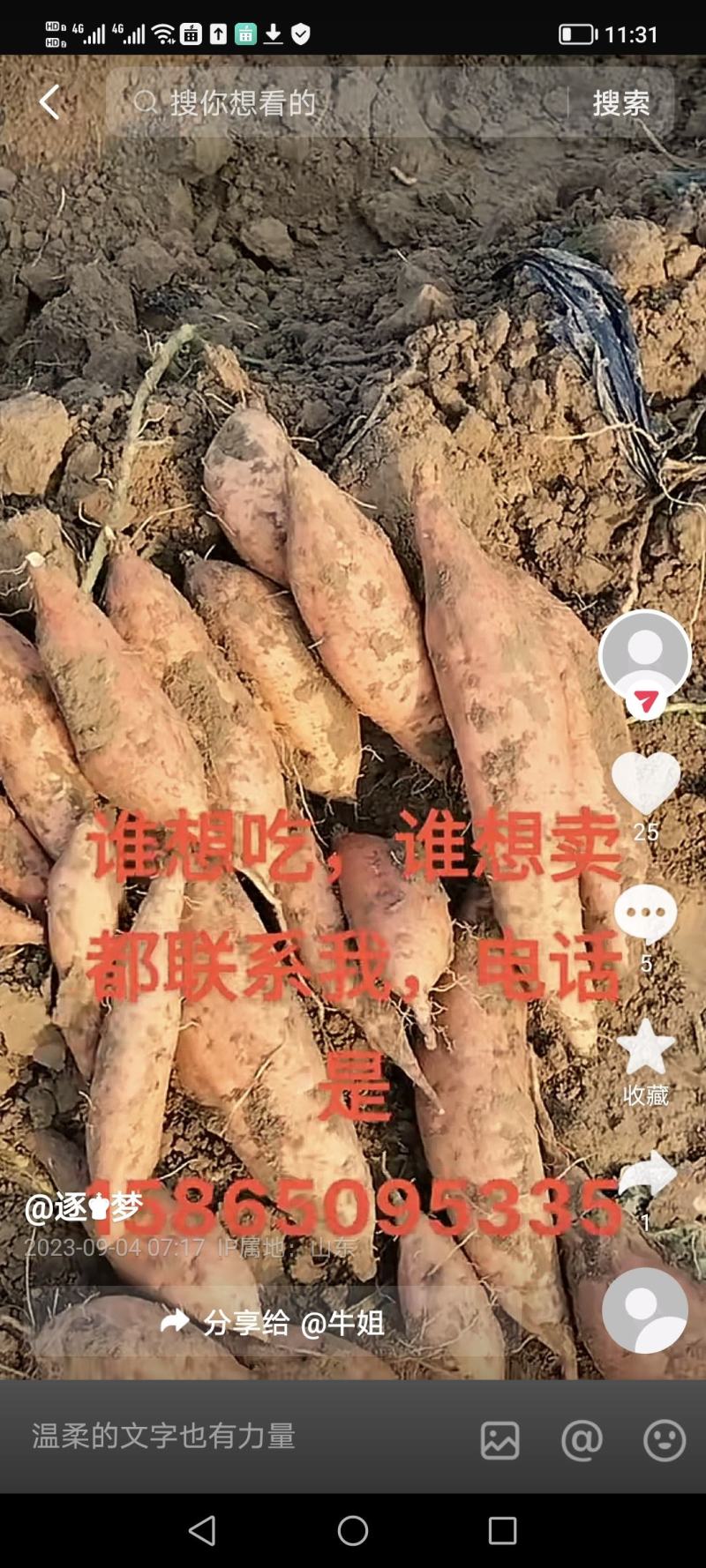 黄蜂蜜红薯