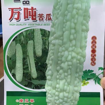 苦瓜种子一品万吨浅绿白色长条顺直厚肉结瓜密产量高