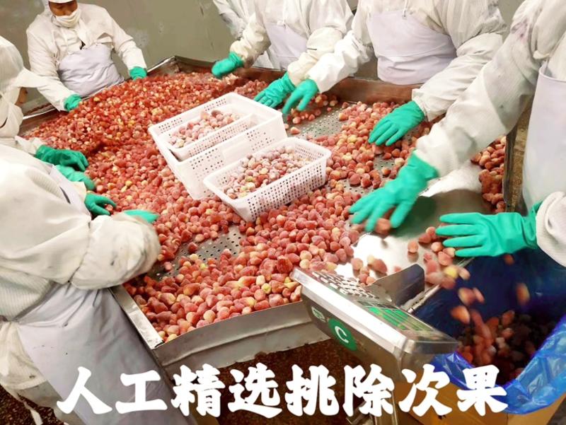 速冻草莓冷冻甜查理草莓工厂原料供应提供定制加工