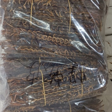 蜈蚣各种昆虫类的中药材有需要的老板下单就可以