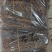 蜈蚣各种昆虫类的中药材有需要的老板下单就可以
