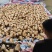 阜南精品莲藕一手货源，货源充足，诚信经营