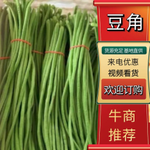 精品长豆角-量大从优-价格优惠-产地直发-支持验货