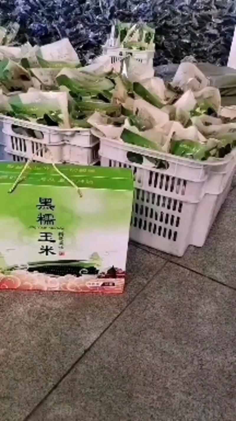 《热卖中》精品真空甜糯玉米黑糯玉米黄糯玉米，产地供直