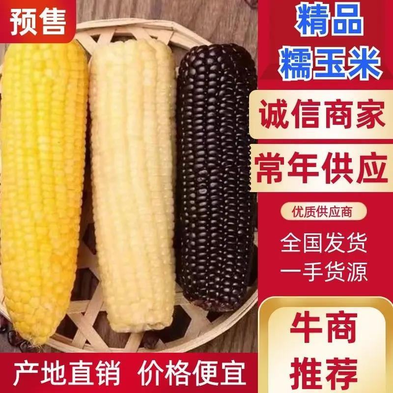 《热卖中》精品真空甜糯玉米黑糯玉米黄糯玉米，产地供直