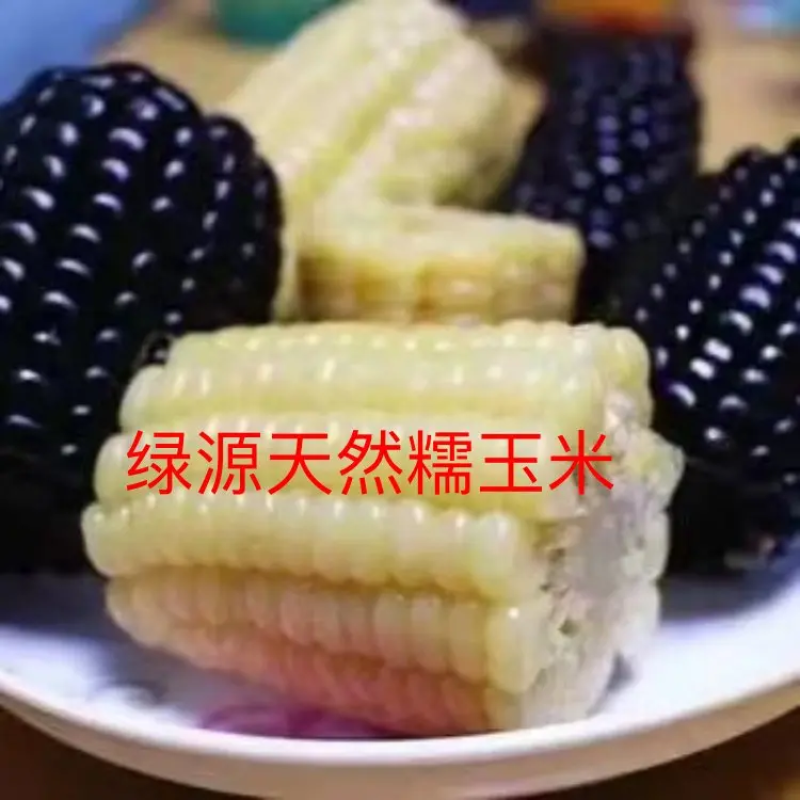 《热卖中》精品真空甜糯玉米黑糯玉米黄糯玉米，产地供直