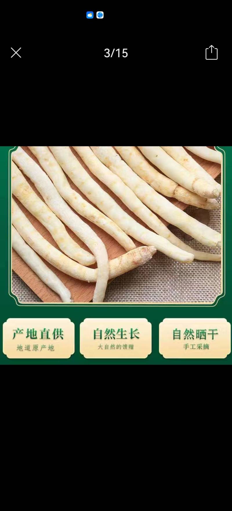 四川精品川明参，南沙参药用价值高价格优惠可大量供货欢迎咨询