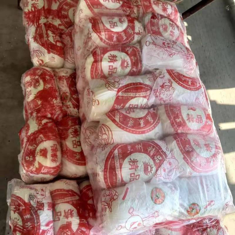 湖北娃娃菜，万亩种植基地，欢迎全国各地老板前来考察！