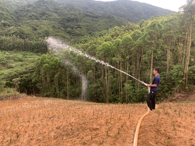 山场出租