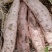 【白心红薯】哈密红薯河南开封产地直供以质论价欢迎电联