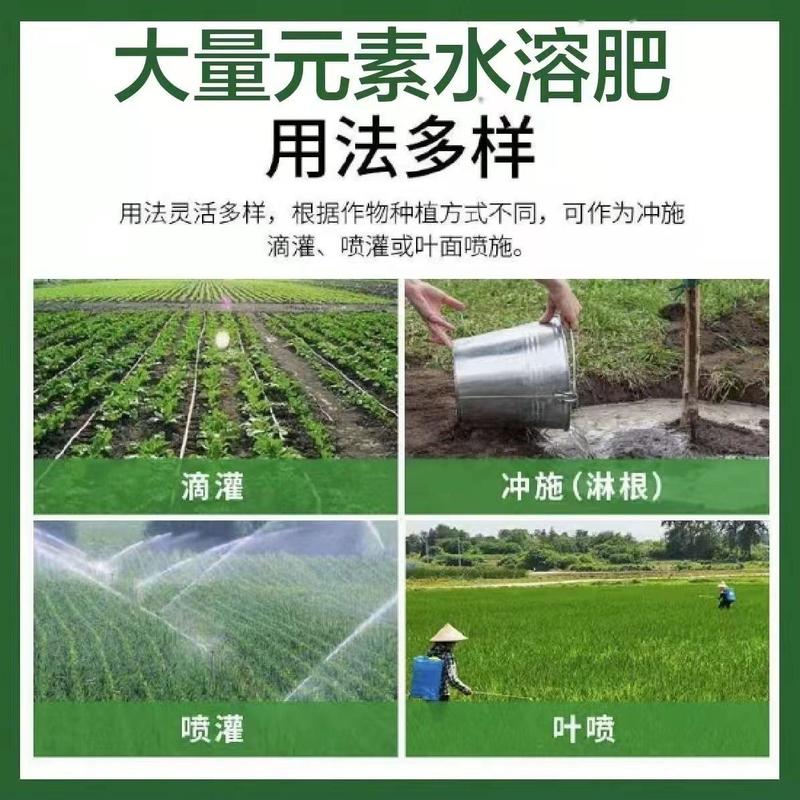 大量元素水溶肥跟作物补充氮磷钾可以让作物所需的成分
