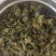 免洗地皮菜