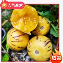 【现摘熟果】云南石林人参果圆果黄肉新鲜水果应季批发低糖