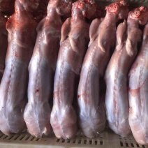 自营农场优质保鲜兔肉、冷冻兔肉，质优价廉